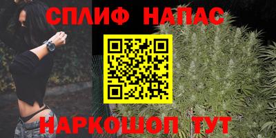 молекула духа Заводоуковск