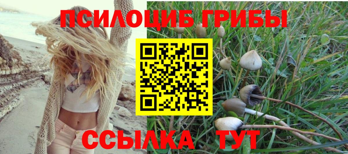 Лесосибирск  Псилоцибиновые грибы MAGIC MUSHROOMS  Вход с VPN 